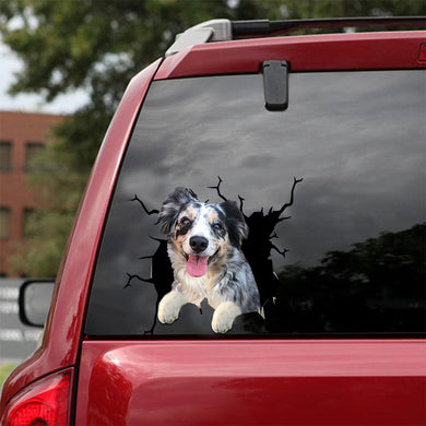 [dt0077-snf-lad]-australian-shepherds-crack-car-sticker-dogs-lover