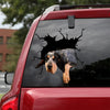 [dt0081-snf-lad]-bluetick-coonhounds-crack-car-sticker-dogs-lover