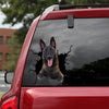 [dt0088-snf-tnt]-belgian-malinois-crack-car-sticker-dogs-lover