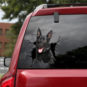 [dt0091-snf-tnt]-belgian-malinois-crack-car-sticker-dogs-lover