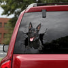 [dt0091-snf-tnt]-belgian-malinois-crack-car-sticker-dogs-lover