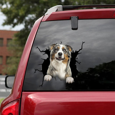 [dt0098-snf-tnt]-australian-shepherd-crack-car-sticker-dogs-lover