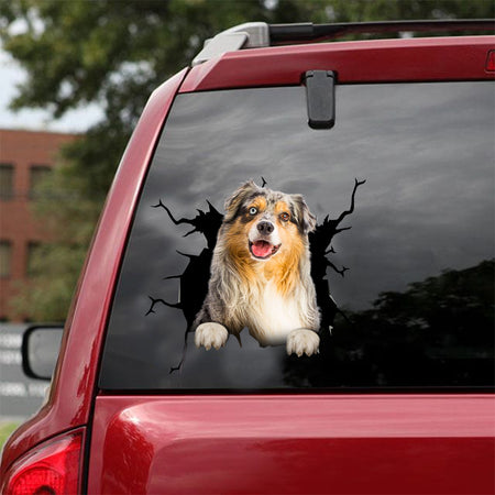 [dt0099-snf-tnt]-australian-shepherd-crack-car-sticker-dogs-lover