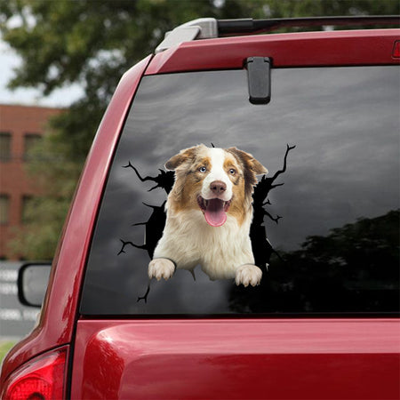 [dt0100-snf-tnt]-australian-shepherd-crack-car-sticker-dogs-lover