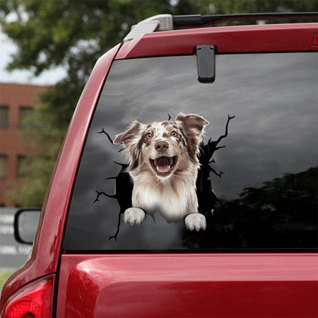 [dt0101-snf-tnt]-australian-shepherd-crack-car-sticker-dogs-lover