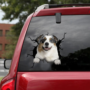 [dt0102-snf-tnt]-australian-shepherd-crack-car-sticker-dogs-lover