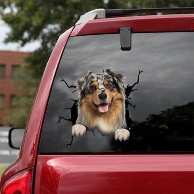 [dt0103-snf-tnt]-australian-shepherd-crack-car-sticker-dogs-lover