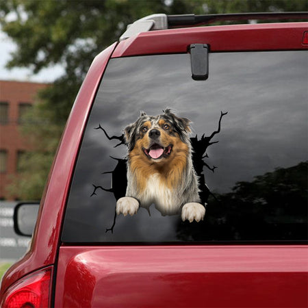 [dt0104-snf-tnt]-australian-shepherd-crack-car-sticker-dogs-lover