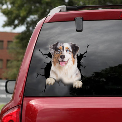 [dt0106-snf-tnt]-australian-shepherd-crack-car-sticker-dogs-lover