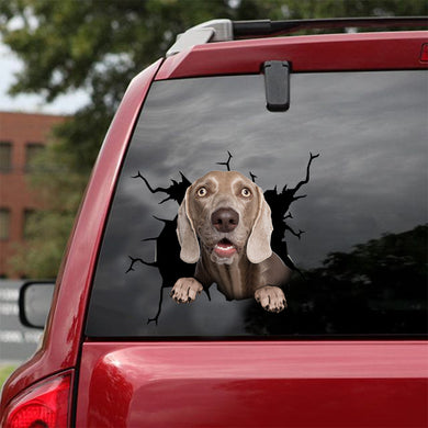 [dt0122-snf-tnt]-weimaraner-crack-car-sticker-dogs-lover