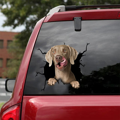 [dt0123-snf-tnt]-weimaraner-crack-car-sticker-dogs-lover