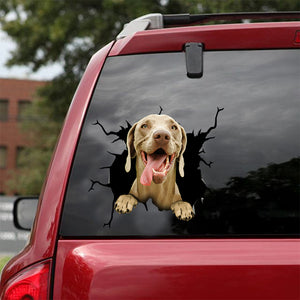 [dt0127-snf-tnt]-weimaraner-crack-car-sticker-dogs-lover
