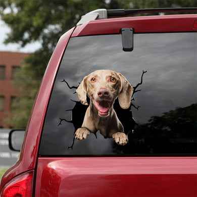 [dt0128-snf-tnt]-weimaraner-crack-car-sticker-dogs-lover