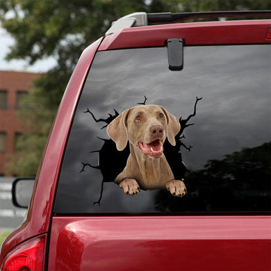 [dt0129-snf-tnt]-weimaraner-crack-car-sticker-dogs-lover