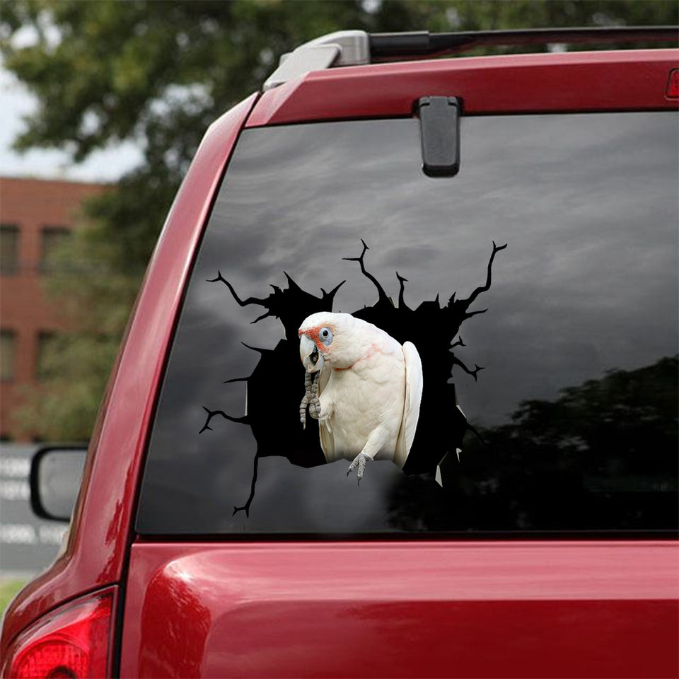 [dt0132-snf-tnt]-long-billed-corella-crack-car-sticker-birds-lover