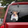 [dt0135-snf-tnt]-rough-collie-crack-car-sticker-dogs-lover