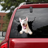 [dt0142-snf-tnt]-bull-terrier-crack-car-sticker-dogs-lover