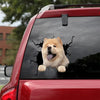 [dt0157-snf-tnt]-chow-chow-crack-car-sticker-dogs-lover