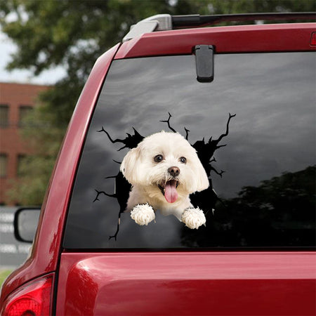 [dt0172-snf-tnt]-maltese-crack-car-sticker-dogs-lover