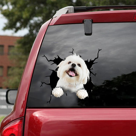 [dt0173-snf-tnt]-maltese-crack-car-sticker-dogs-lover