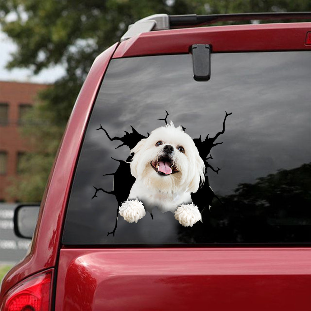 [dt0173-snf-tnt]-maltese-crack-car-sticker-dogs-lover