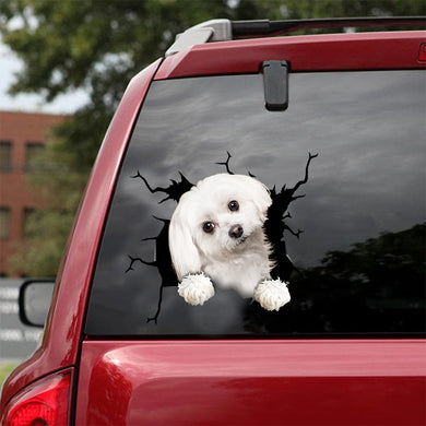 [dt0175-snf-tnt]-maltese-crack-car-sticker-dogs-lover
