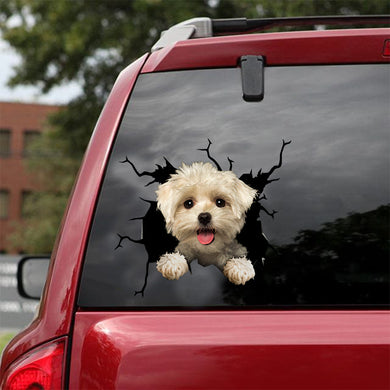 [dt0176-snf-tnt]-maltese-crack-car-sticker-dogs-lover