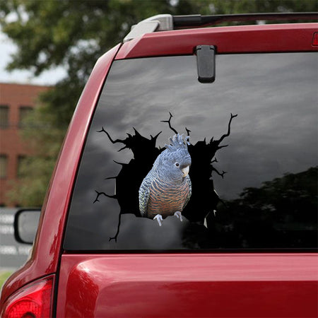 [dt0181-snf-tnt]-gang-gang-cockatoo-crack-car-sticker-birds-lover