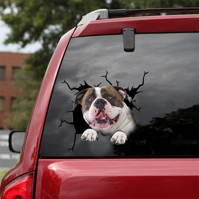 [dt0186-snf-tnt]-american-bulldog-crack-car-sticker-dogs-lover