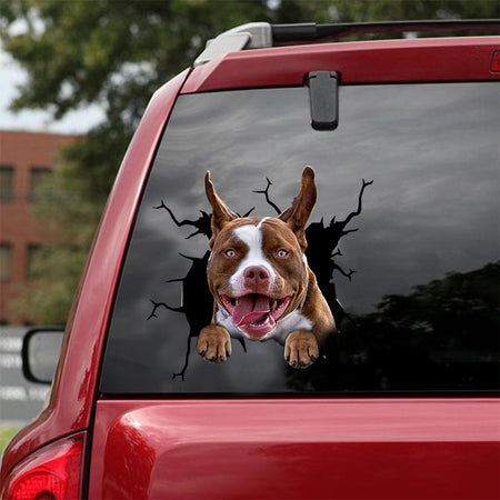 [dt0192-snf-tnt]-american-bulldog-crack-car-sticker-dogs-lover