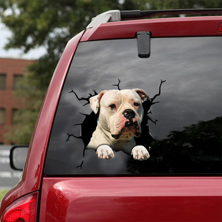[dt0194-snf-tnt]-american-bulldog-crack-car-sticker-dogs-lover