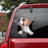 [dt0195-snf-tnt]-american-bulldog-crack-car-sticker-dogs-lover