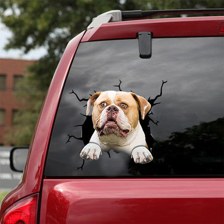 [dt0196-snf-tnt]-american-bulldog-crack-car-sticker-dogs-lover