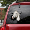 [dt0206-snf-tnt]-lipizzaner-horse-crack-car-sticker-animals-lover