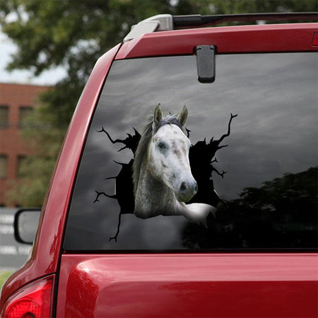 [dt0207-snf-tnt]-lipizzaner-horse-crack-car-sticker-animals-lover