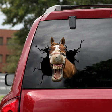 [dt0214-snf-tnt]-icelandic-horse-crack-car-sticker-animals-lover