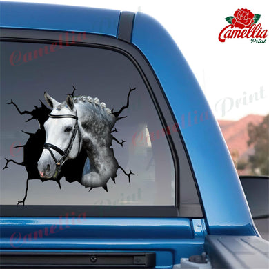 Hanoverian Horse Crack Sticker Pack Funny Pictures Number Stickers Christmas Gifts For Parents