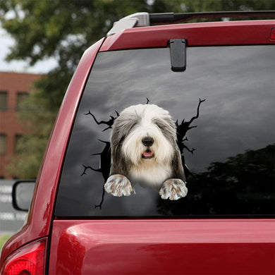 [dt0240-snf-tnt]-old-english-sheepdog-crack-car-sticker-dogs-lover
