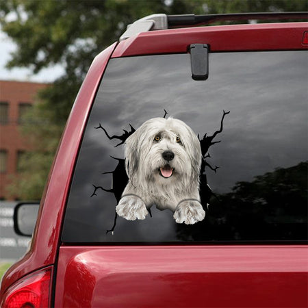 [dt0241-snf-tnt]-old-english-sheepdog-crack-car-sticker-dogs-lover