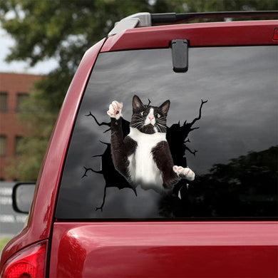 [dt0248-snf-tnt]-tuxedo-cat-crack-car-sticker-cats-lover