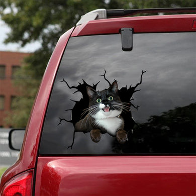 [dt0249-snf-tnt]-tuxedo-cat-crack-car-sticker-cats-lover