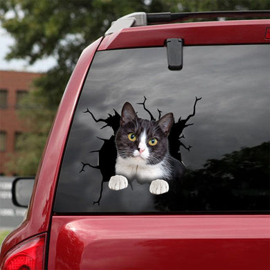[dt0252-snf-tnt]-tuxedo-cat-crack-car-sticker-cats-lover