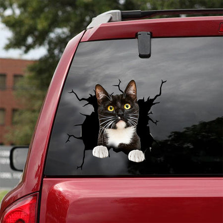 [dt0253-snf-tnt]-tuxedo-cat-crack-car-sticker-cats-lover