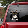 [dt0253-snf-tnt]-tuxedo-cat-crack-car-sticker-cats-lover