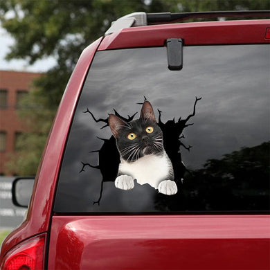 [dt0254-snf-tnt]-tuxedo-cat-crack-car-sticker-cats-lover