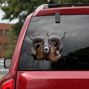 [dt0258-snf-tnt]-mouflon-crack-car-sticker-deers-lover