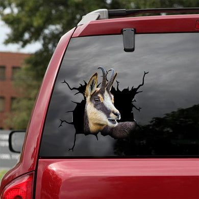 [dt0261-snf-tnt]-chamois-crack-car-sticker-deers-lover