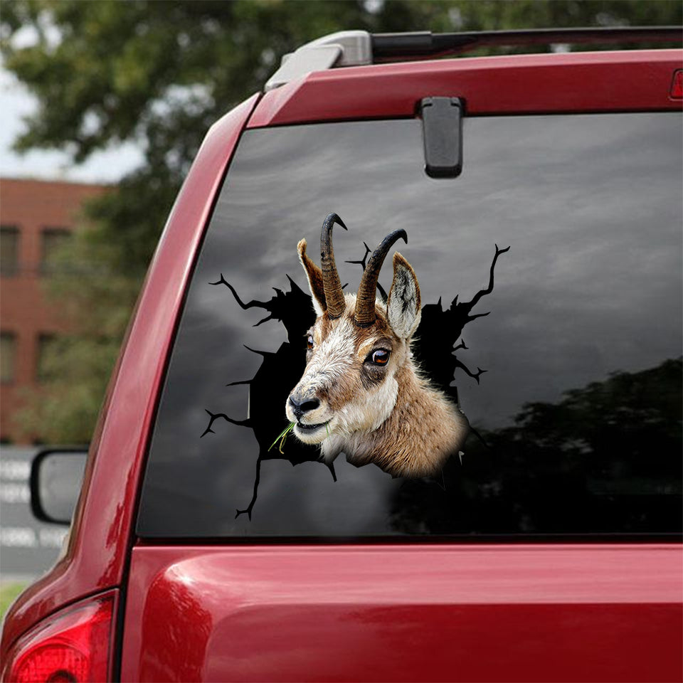 [dt0262-snf-tnt]-chamois-crack-car-sticker-deers-lover