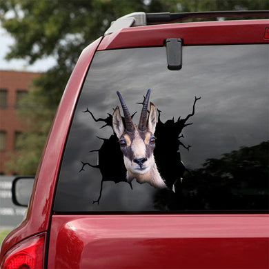[dt0263-snf-tnt]-chamois-crack-car-sticker-deers-lover