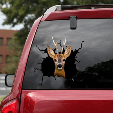 [dt0269-snf-tnt]-roe-deer-crack-car-sticker-deers-lover